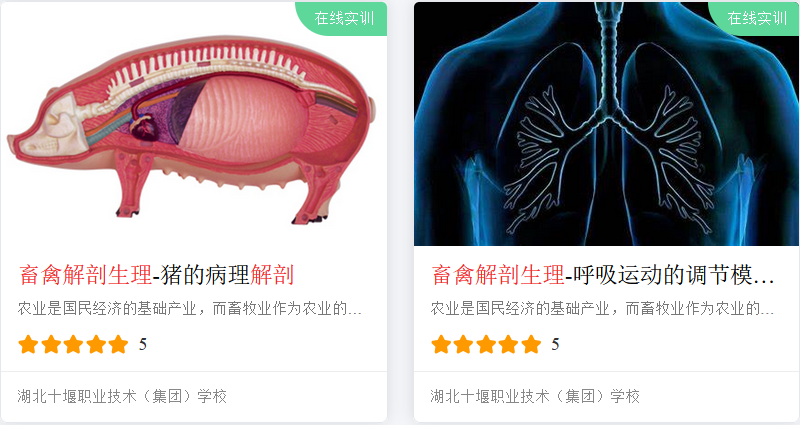 5580dc22b551aacbad61a6b747a3ad8c.png